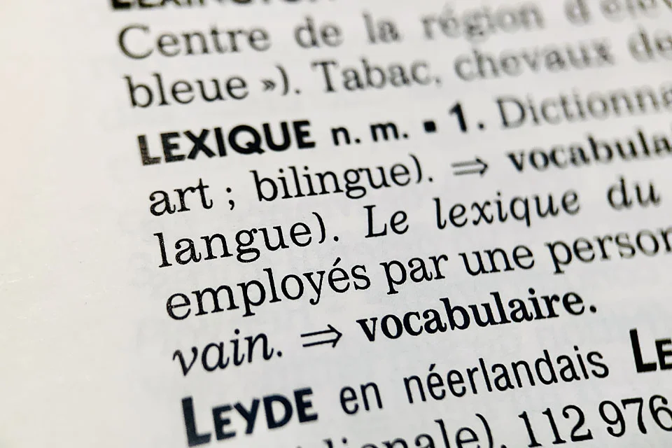 Photographie rapprochée d'une page de dictionnaire Larousse