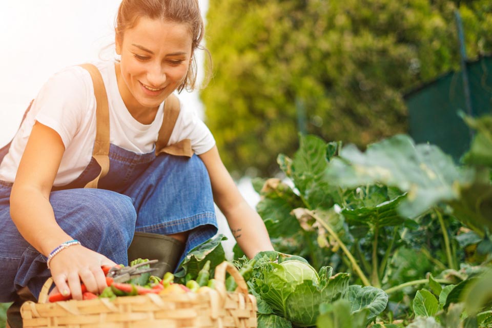 Une jeune femme qui cultive des légumes dans son jardin