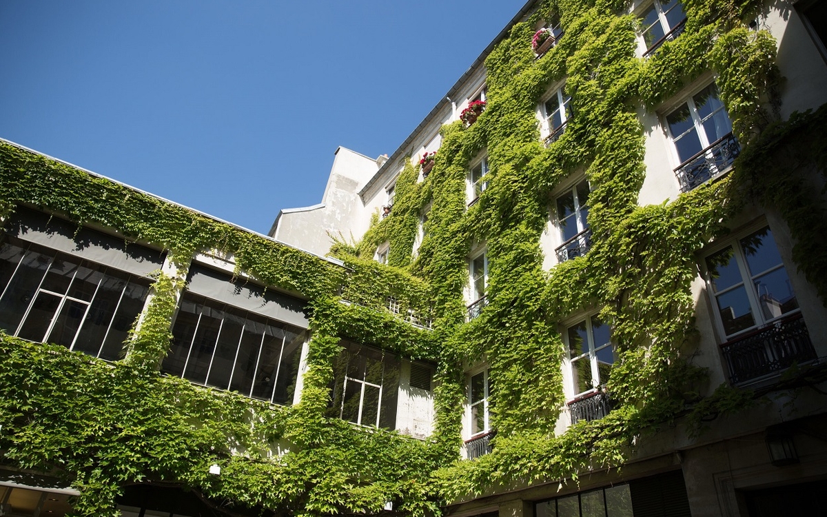 Végétalisation de copropriété à Paris : notre retour d’expérience