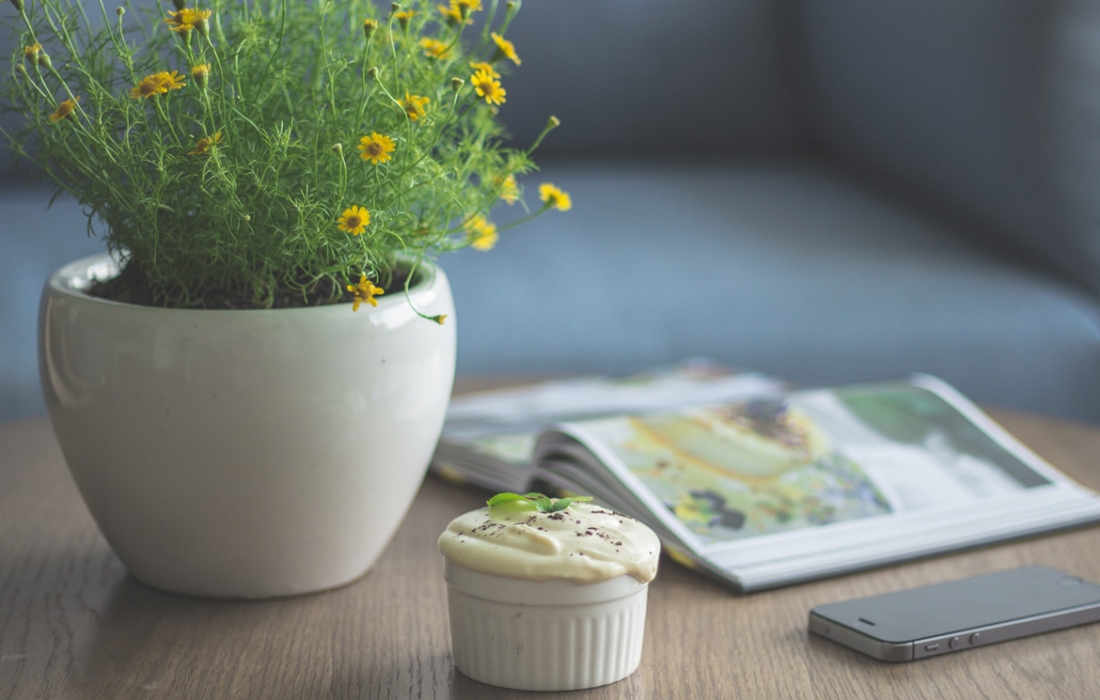 quelle-plante-interieur quelle-plante-interieur